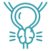 Prostate Center Prostate Center